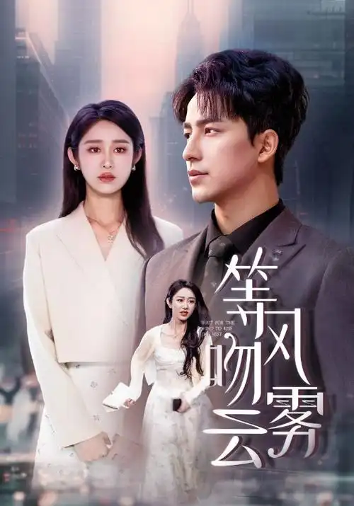 谍战剧《伪装者》高清版